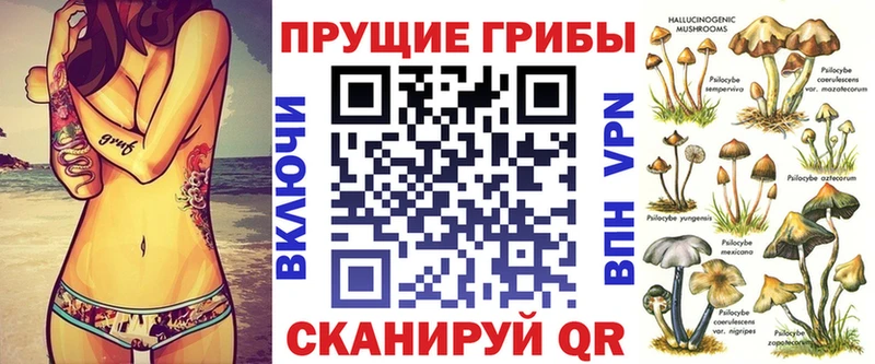 Псилоцибиновые грибы Psilocybe  магазин    Бахчисарай 