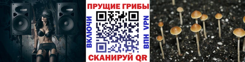 Галлюциногенные грибы GOLDEN TEACHER Бахчисарай