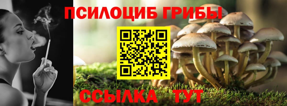 Галлюциногенные грибы Psilocybine cubensis  закладка  Псилоцибиновые грибы прущие грибы  Бахчисарай  Вход с VPN 